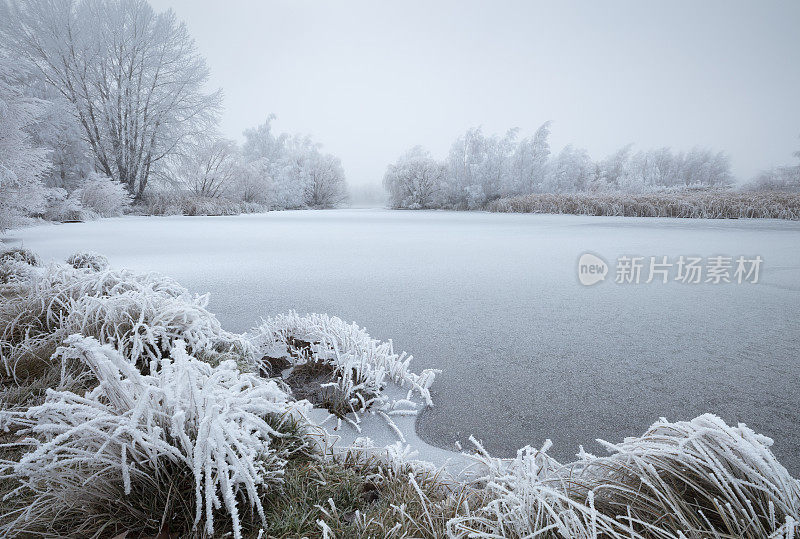 Hoar Frost, Twizel，新西兰